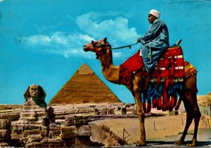 Egypt The Great Spinx Of Giza and Khefren Pyramid With Camel Rider