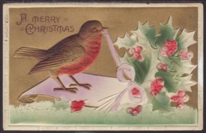 Merry Christmas,Robin,Holly Postcard