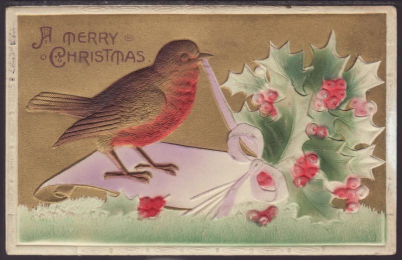 Merry Christmas,Robin,Holly Postcard