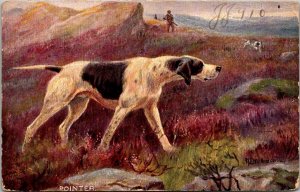 Pointer, Tucks 9105 Sporting Dogs c1907 Vintage Postcard X55