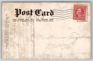 Camp Lee VA New Recruits First Mess Line Postcard J23