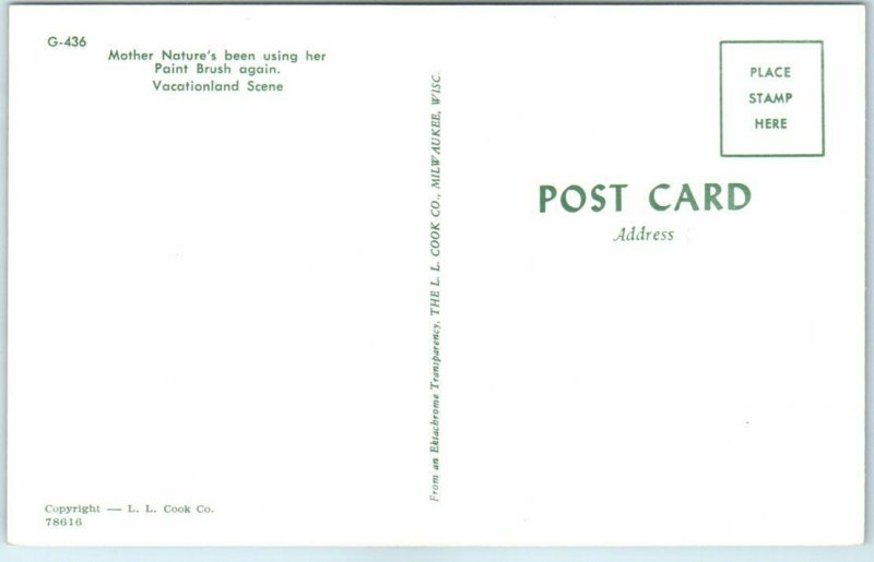 Postcard - Caseville, Michigan