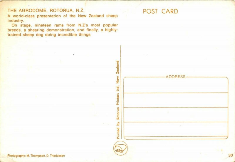 Rotorua New Zealand 1970s Postcard The Agrodome Sheep Shearing
