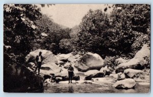 Asheville North Carolina NC Postcard Trout Stream Grove Park Inn Mountain c1940