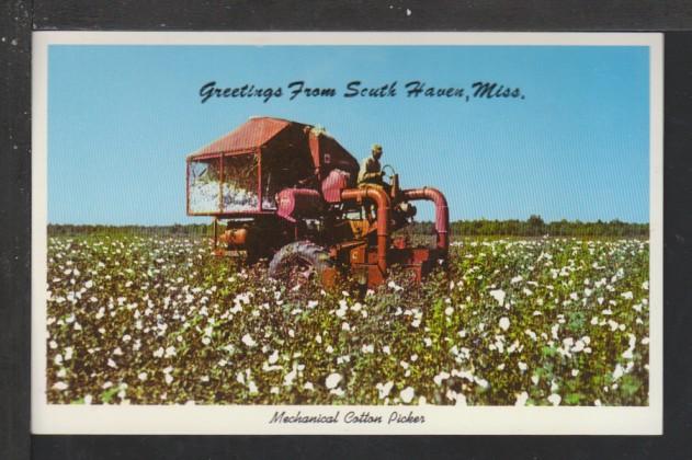 Greetings From South Haven,MS,Cotton Picker Postcard 