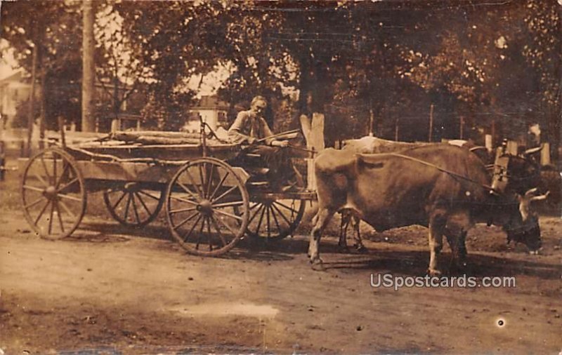 Bull and Carriage in Mayslanding, New Jersey