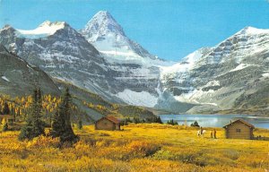 US5150 Canada Canadian Rockies Mount Assiniboine Mountain Lake Landscape