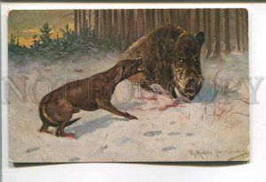 485582 1905 year Winter HUNT Pointer WILD BOAR by MULLER Vintage Prague RPPC