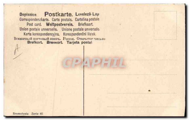 Old Postcard Swallows