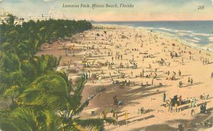 Miami Beach Florida Lummus Park, People on Beach Linen Postcard Postally Unused