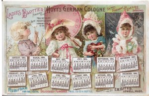 E.W. Hoyt & Co, Lowell, Ma Hoyt's German Cologne Advertising Card (49426)