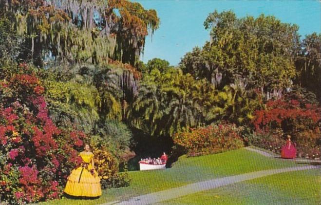 Florida Cypress Gardens Tropical Scene