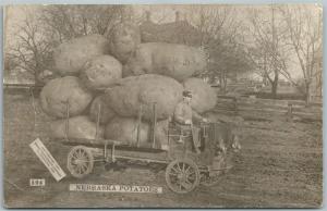 EXAGGERATED NEBRASKA POTATOES ANTIQUE REAL PHOTO POSTCARD RPPC