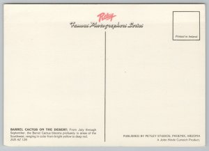 State View~Barrel Cactus On Arizona Desert~Continental Postcard 