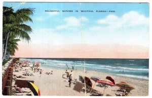 Delightful Bathing in Beautiful Florida, Beach