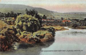 Oneonta New York~Susquehanna River View from Main Street Bridge~1909 Postcard