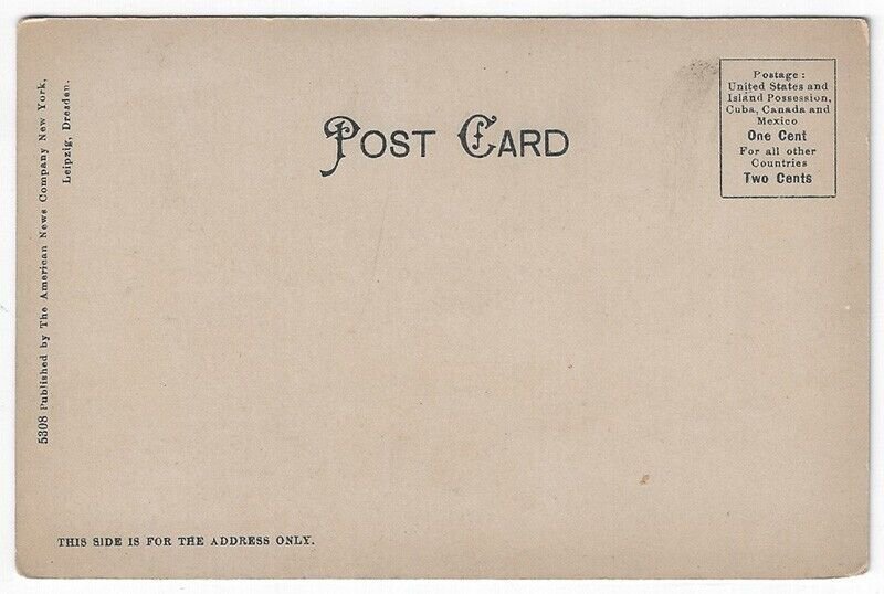 Vintage Postcard Showing Fourth Lake, Fulton Chain, Adirondack Mountains, NY 