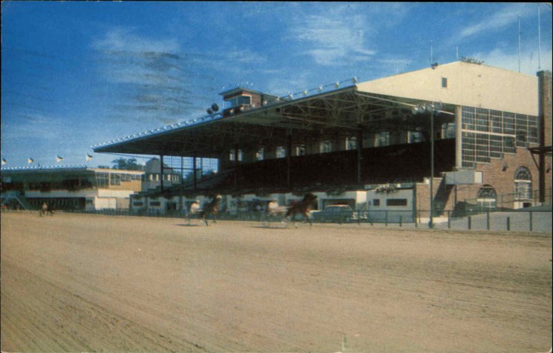 Hamburg New York NY Buffalo Raceway Horse Racing Race Track Vintage Postcard 