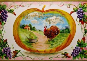 Thanksgiving Postcard John Winsch Turkey Farm Pumpkin Purple Grapes 1912