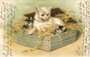 PC CATS, THREE KTTENS IN A BOX FULL OF HAY, Vintage LITHO Postcard (b47208)