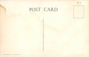 Gombey Dancers Bermuda Postcard