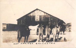 Hot Springs  Orchestra Livery Stables Donkeys Real Photo Postcard AA21061