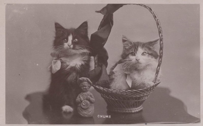 Chums Cat Kittens In Basket By Old Buddha Statue RPC Postcard