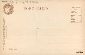 Alaska Douglas Island AYPE Seal 1909 Mining Treadwill Portland postcard 7204