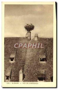 Old Postcard Alsace Storks Nest