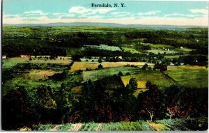 View Overlooking Ferndale NY Linen Vintage Postcard B16