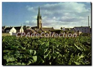 Postcard Modern Plouescat in vegetable Zone Of Leon