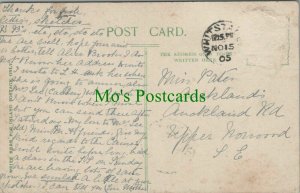 Genealogy Postcard - Pates - Auckland Road, Upper Norwood, London RF8684