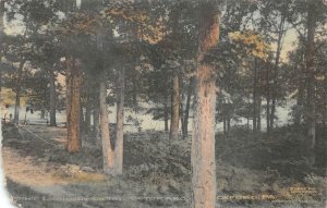 POINT LOOKOUT OCTORARO RIVER OXFORD PENNSYLVANIA HAND COLORED POSTCARD (c. 1915)