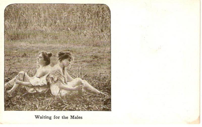 \Waiting for the Males\ Fine vintage American Postcard 