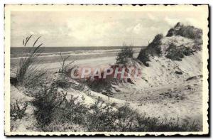 Modern Postcard Ostend Dune