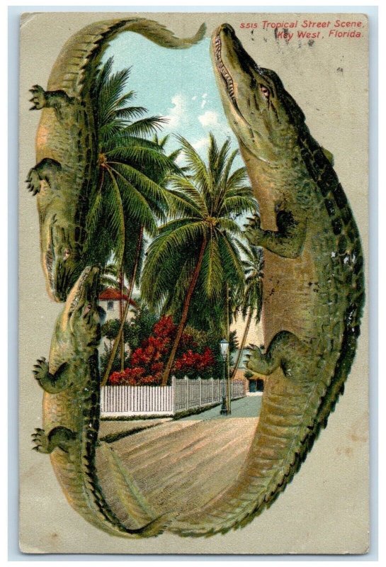 c1910's Tropical Street Scene Key West Florida FL Alligator Border Postcard