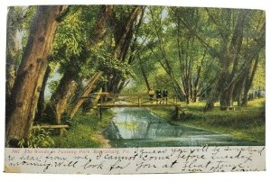 Harrisburg Pa The Woods in Paxtang Park 1909 udb Postcard N13