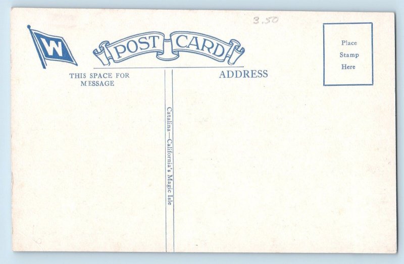 c1910's Catalina Island California CA Million Dollar Steamship Catalina Postcard