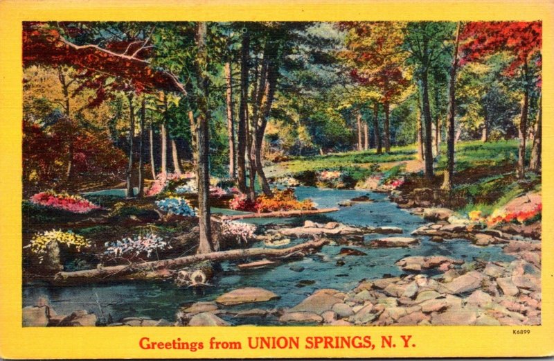 New York Greetings From Union Springs