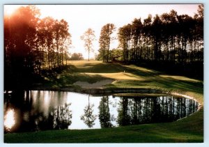 GAYLORD, Michigan MI ~ Robert Trent Jones TREETOPS GOLF COURSE 4x6  Postcard