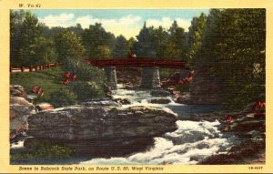 West Virginia Scene In Babcock State Park On Route U S 60 Curteich