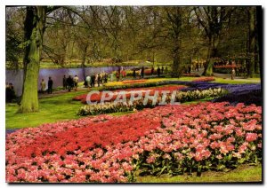 Modern Postcard Holland in flower ornament