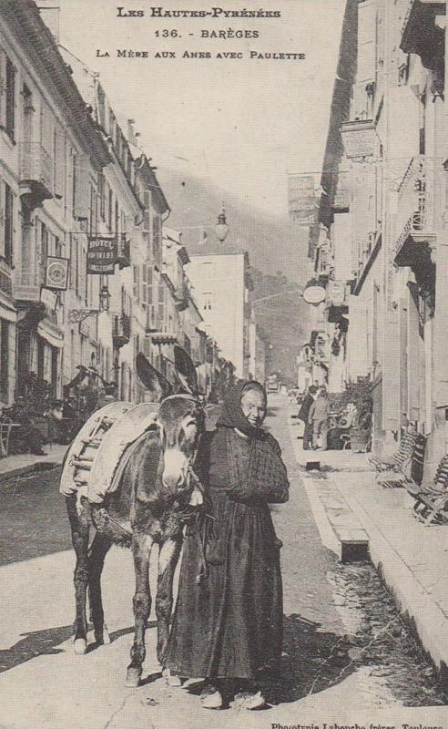 Pyrenees Barages French Donkey Mule Poverty Paulette Rare Repro France Postcard