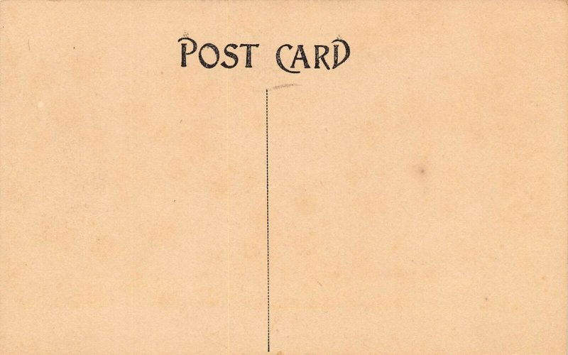 LPS74 ZEPHYRHILLS Florida High School Postcard