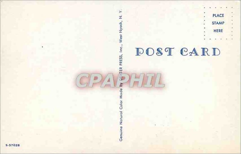 Postcard Old Water Skiing