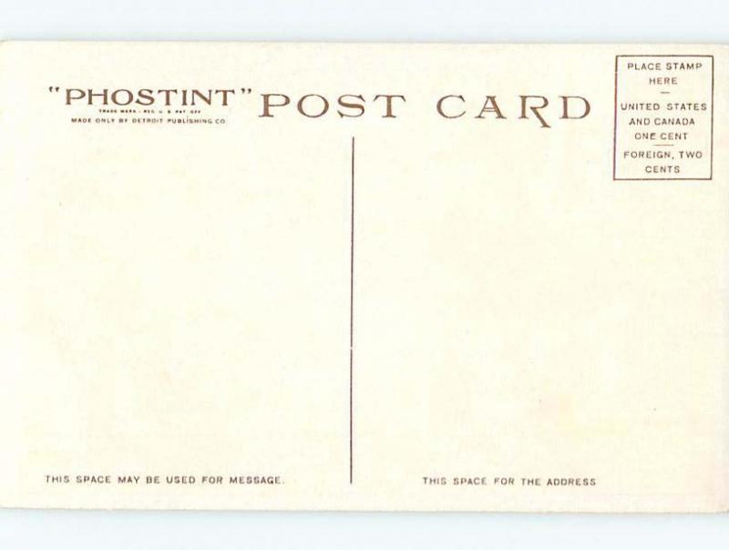 Unused Divided-Back YELLOWSTONE National Park Wyoming WY hk8669