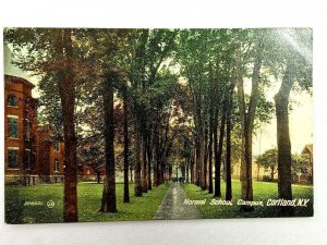 Vintage Postcard 1910's Normal School Campus Cortland NY New York