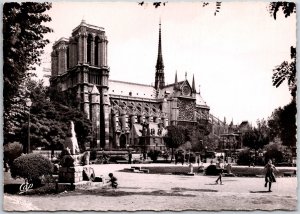 Paris Notre Dame Vue Du Square Viviani France Real Photo RPPC Postcard