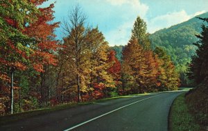 Vintage Postcard 1966 Autumn Scene Along Highway In Great Smoky Mountains Park 