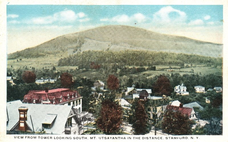 Vintage Postcard View From Tower Looking South Mt. Utsayantha Distance Stamford